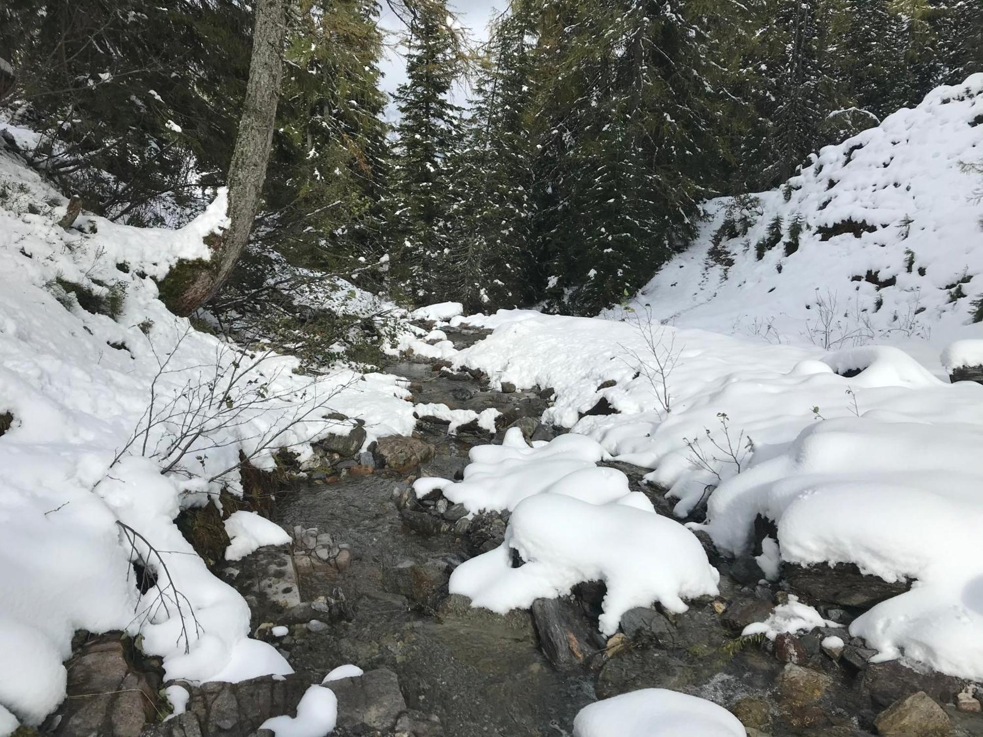 Apartmán Alpendomizil Pia Mühlbach am Hochkönig Exteriér fotografie