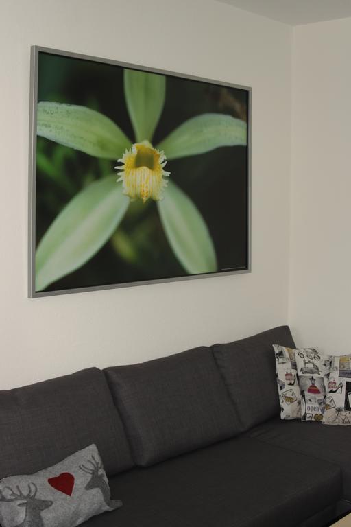 Apartmán Alpendomizil Pia Mühlbach am Hochkönig Pokoj fotografie
