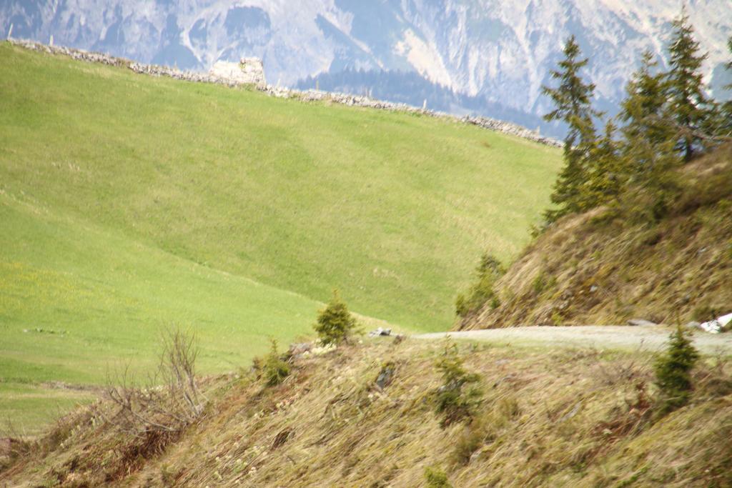 Apartmán Alpendomizil Pia Mühlbach am Hochkönig Exteriér fotografie